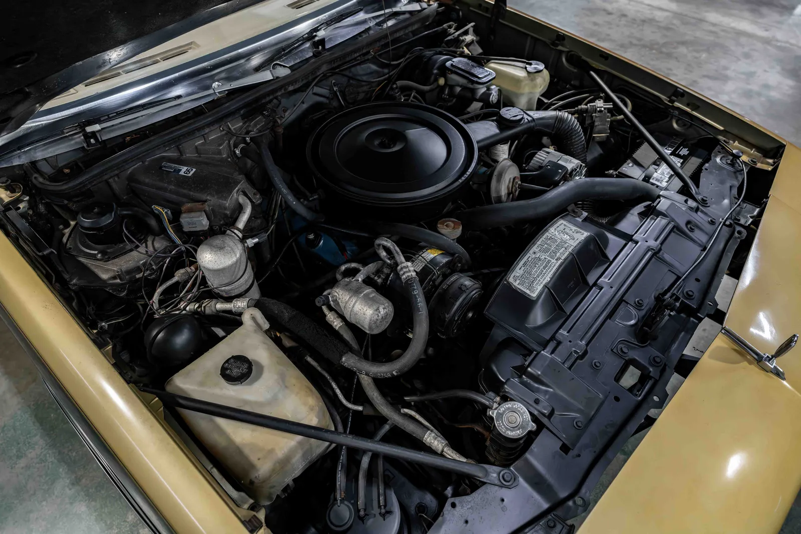 8_1979-Oldsmobile-W30-Black and Gold-536930-44.jpg